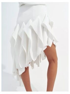 Zara Collection Asymmetric Ruffled Skirt